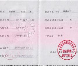 张彦涛维修电工资质证书