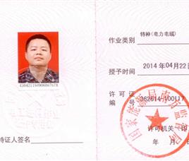 特种（电力电缆）